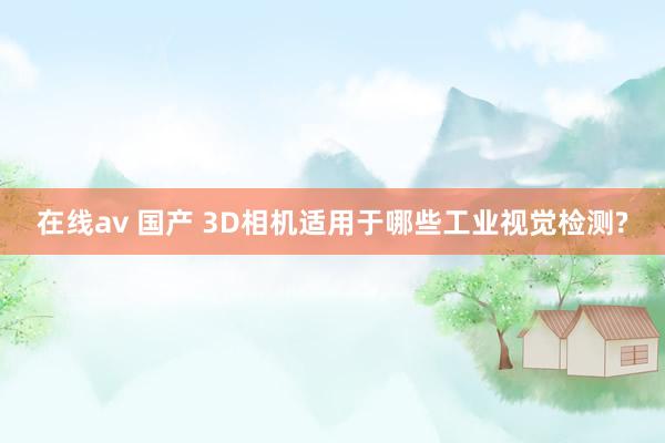 在线av 国产 3D相机适用于哪些工业视觉检测?