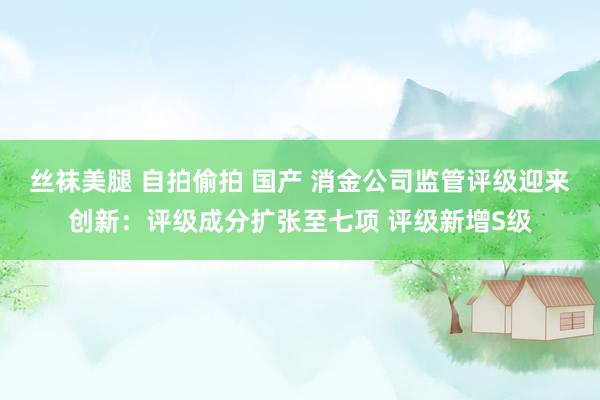 丝袜美腿 自拍偷拍 国产 消金公司监管评级迎来创新：评级成分扩张至七项 评级新增S级