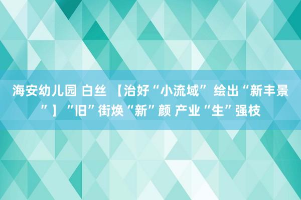 海安幼儿园 白丝 【治好“小流域” 绘出“新丰景”】“旧”街焕“新”颜 产业“生”强枝