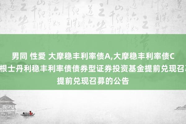 男同 性愛 大摩稳丰利率债A，大摩稳丰利率债C: 对于摩根士丹利稳丰利率债债券型证券投资基金提前兑现召募的公告