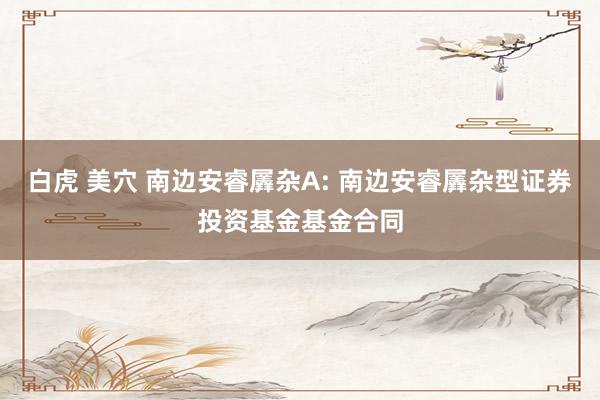 白虎 美穴 南边安睿羼杂A: 南边安睿羼杂型证券投资基金基金合同