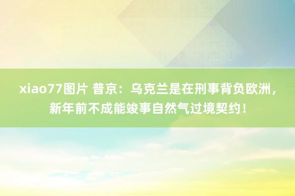 xiao77图片 普京：乌克兰是在刑事背负欧洲，新年前不成能竣事自然气过境契约！