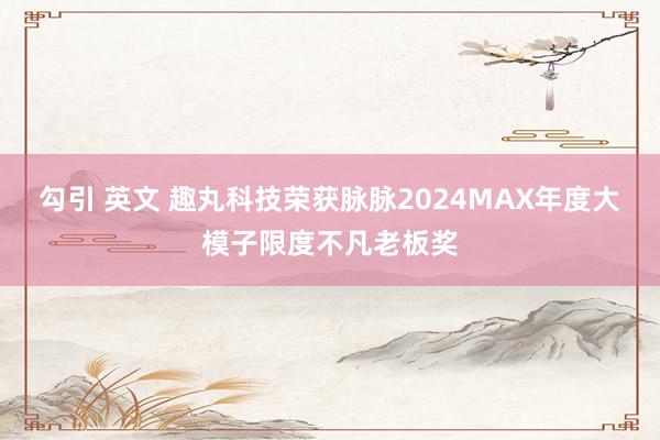 勾引 英文 趣丸科技荣获脉脉2024MAX年度大模子限度不凡老板奖