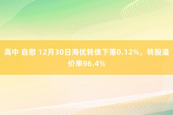 高中 自慰 12月30日海优转债下落0.12%，转股溢价率96.4%