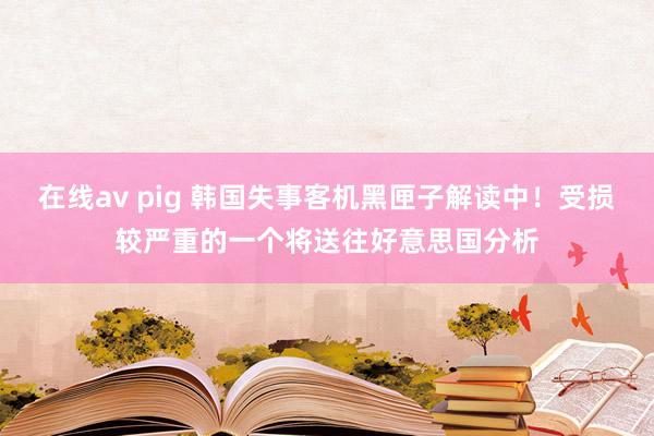 在线av pig 韩国失事客机黑匣子解读中！受损较严重的一个将送往好意思国分析