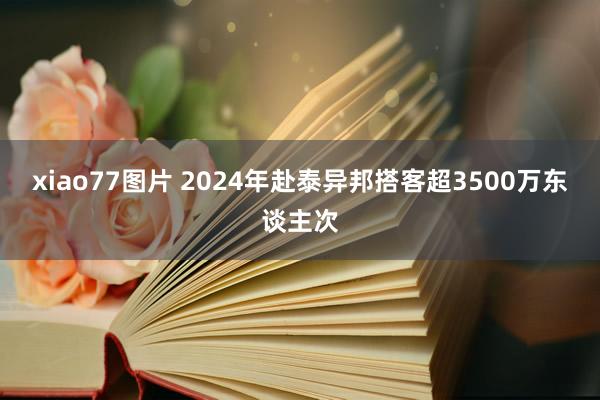 xiao77图片 2024年赴泰异邦搭客超3500万东谈主次