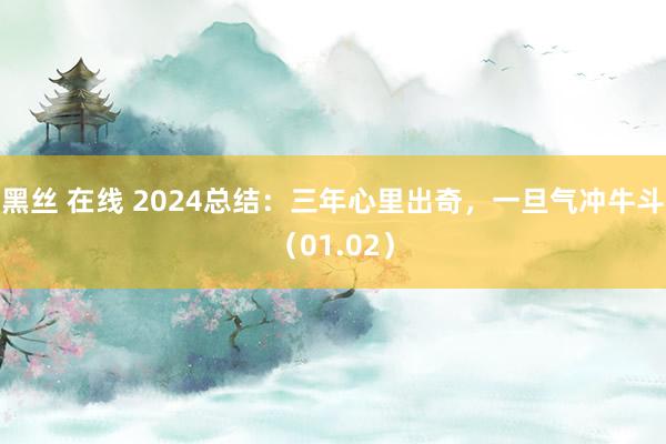 黑丝 在线 2024总结：三年心里出奇，一旦气冲牛斗（01.02）