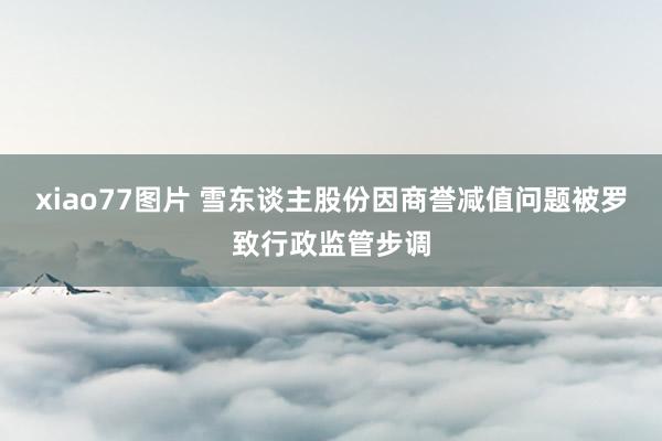 xiao77图片 雪东谈主股份因商誉减值问题被罗致行政监管步调