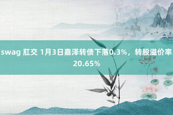 swag 肛交 1月3日嘉泽转债下落0.3%，转股溢价率20.65%