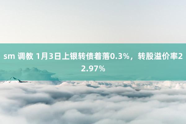 sm 调教 1月3日上银转债着落0.3%，转股溢价率22.97%