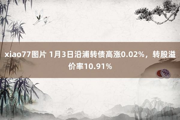 xiao77图片 1月3日沿浦转债高涨0.02%，转股溢价率10.91%