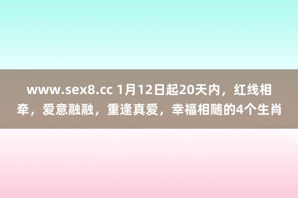 www.sex8.cc 1月12日起20天内，红线相牵，爱意融融，重逢真爱，幸福相随的4个生肖