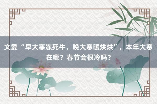 文爱 “早大寒冻死牛，晚大寒暖烘烘”，本年大寒在哪？春节会很冷吗？