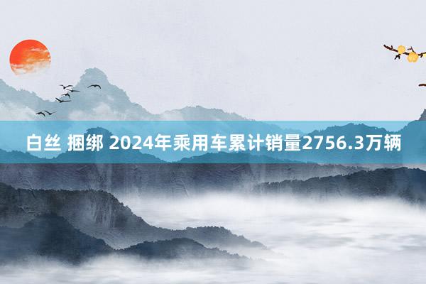 白丝 捆绑 2024年乘用车累计销量2756.3万辆