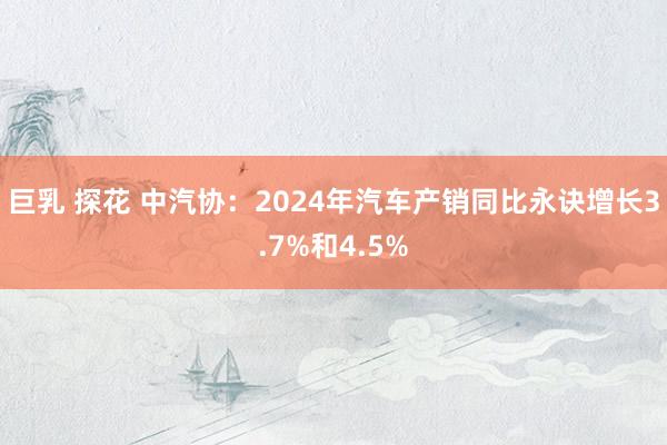 巨乳 探花 中汽协：2024年汽车产销同比永诀增长3.7%和4.5%